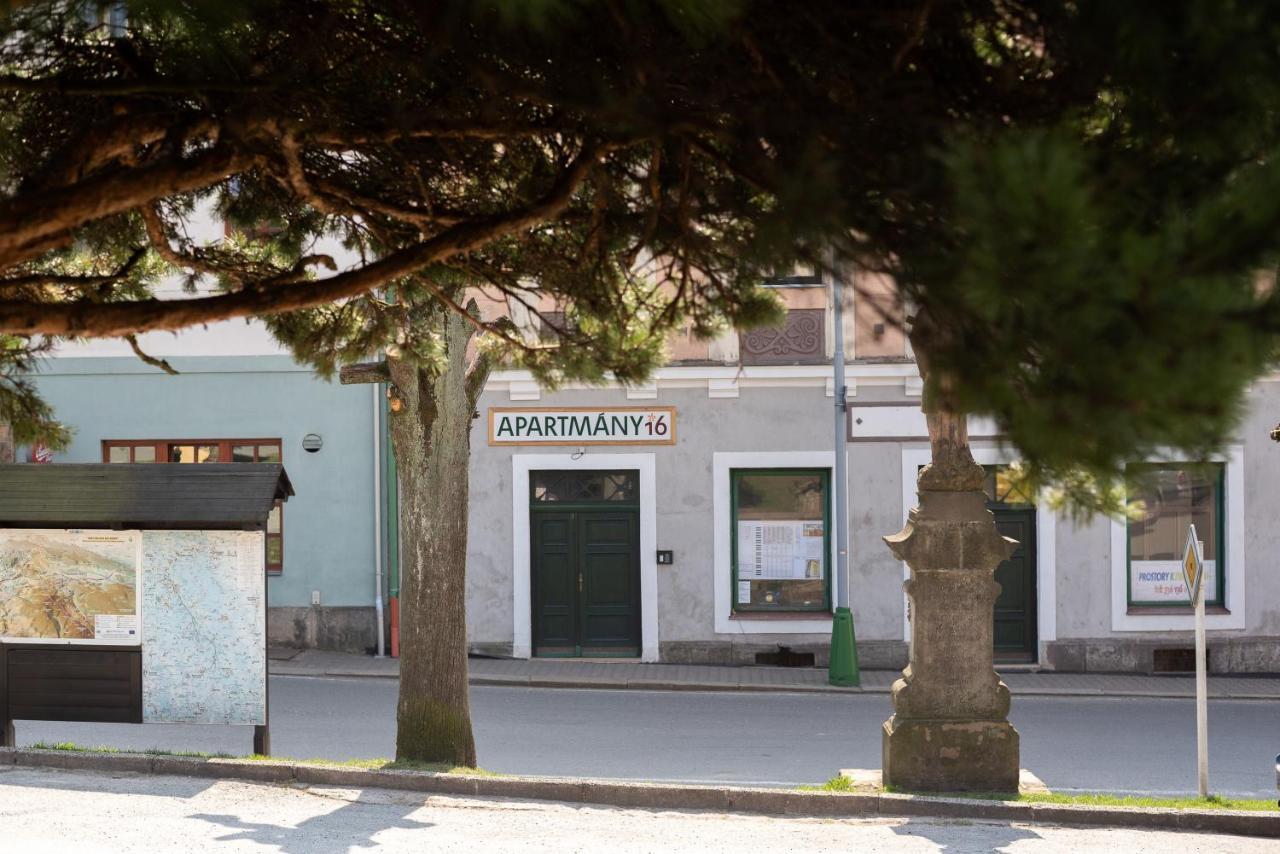 Apartmány16 Olešnice v Orlických horách Esterno foto